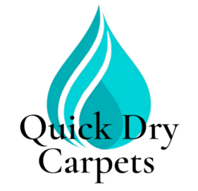 v4 quick dry carpets tshirt front logo (1)